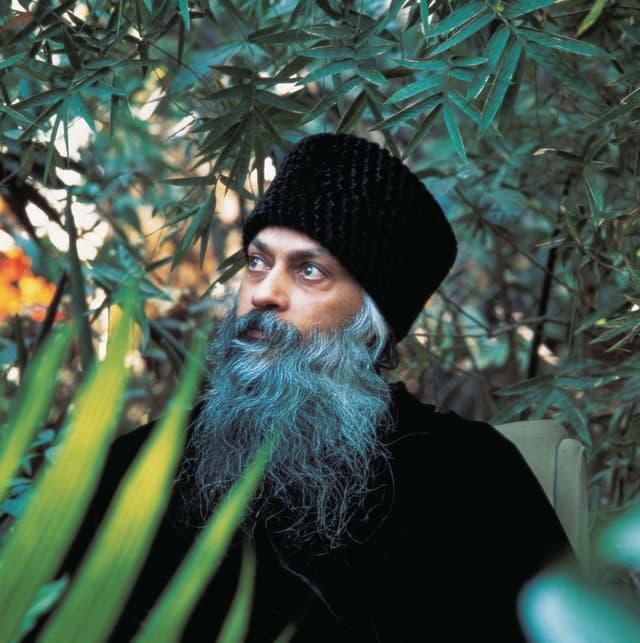Rajneesh 